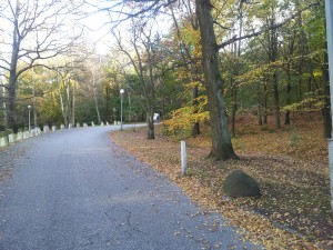 20121028_123038