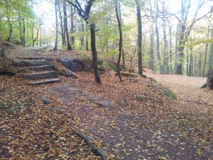 20121028_131836